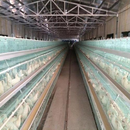 大型养殖鸡笼厂家蛋鸡笼 阶梯式 镀锌a型养殖蛋鸡笼